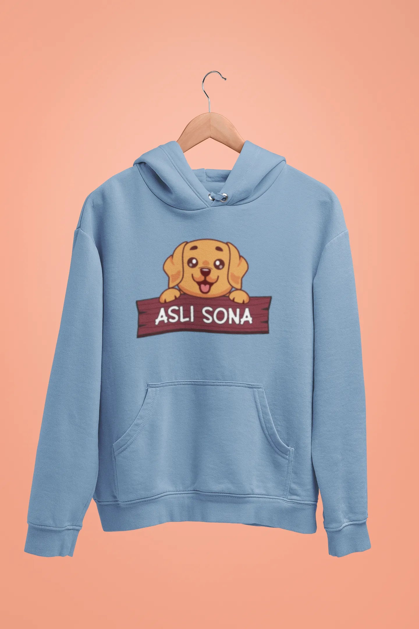 golden retriever asli sona unisex hoodie baby blue