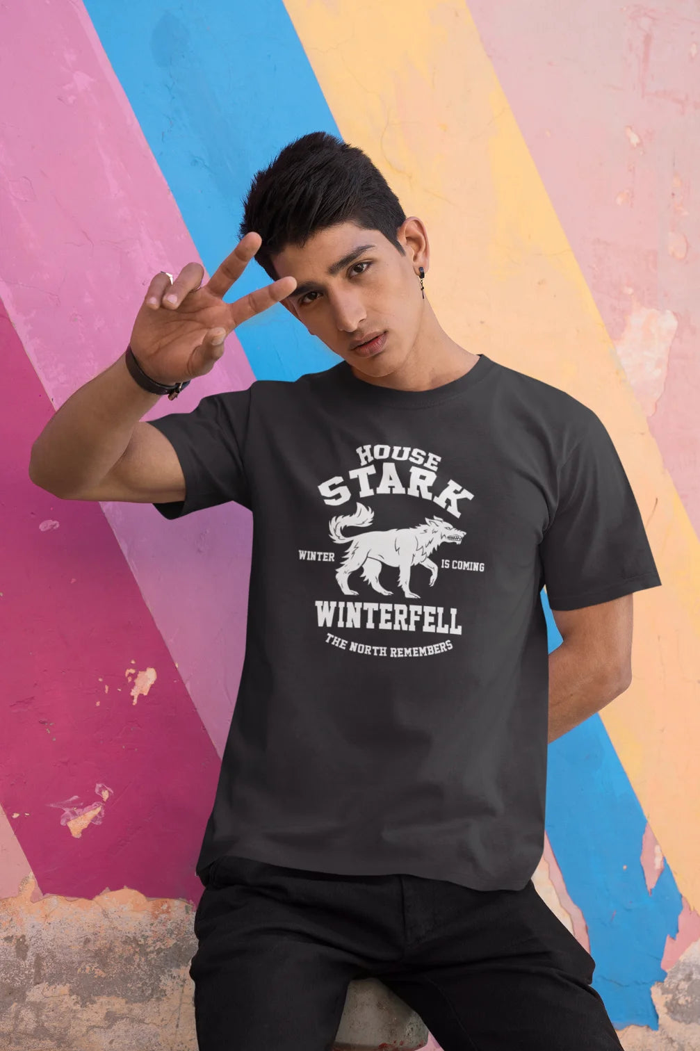 House Stark - Winter is coming T-Shirt