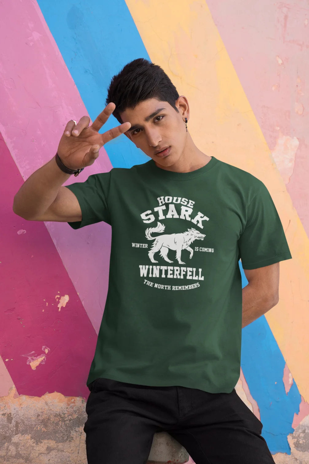 House Stark - Winter is coming T-Shirt