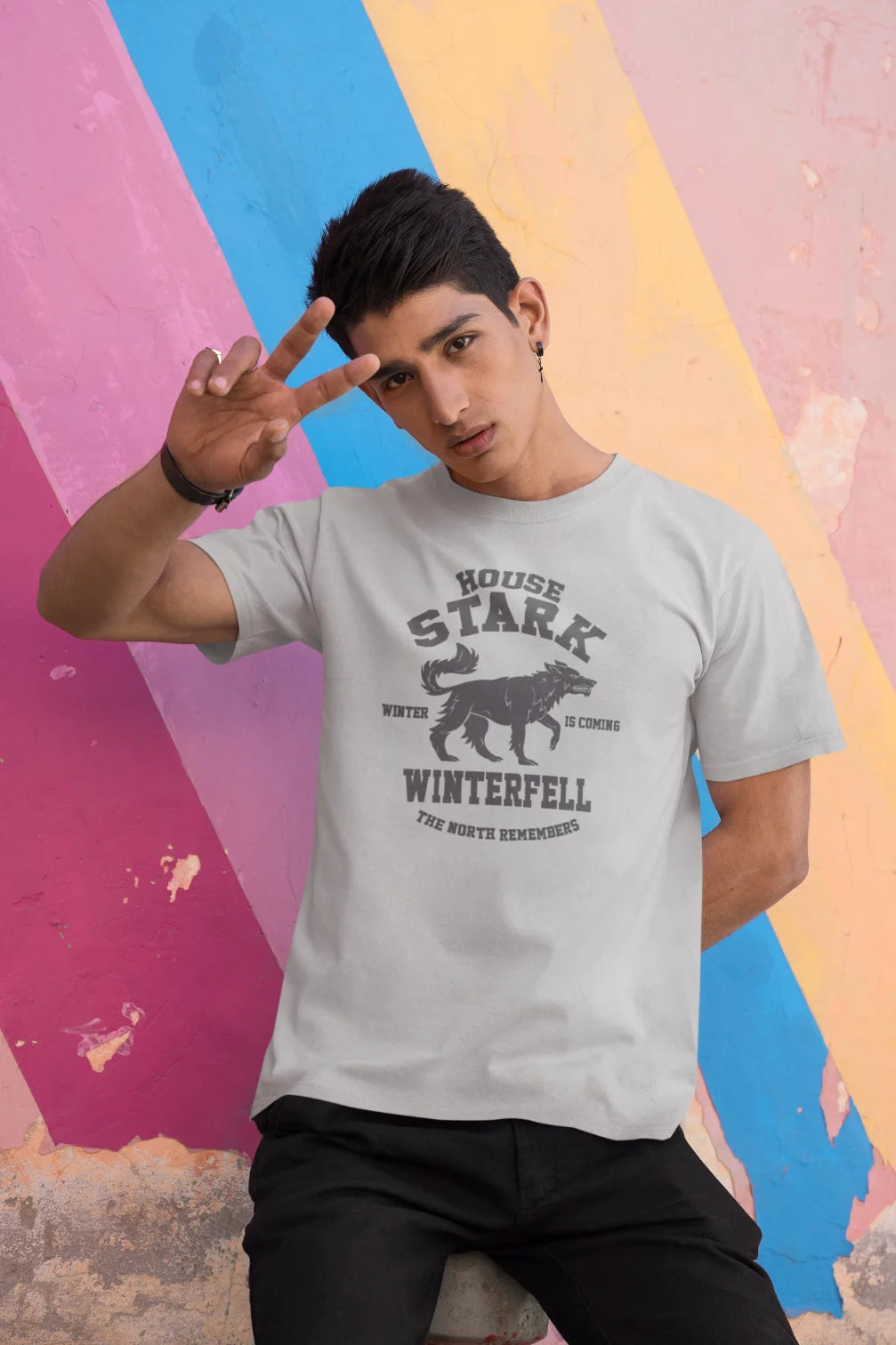 House Stark - Winter is coming T-Shirt