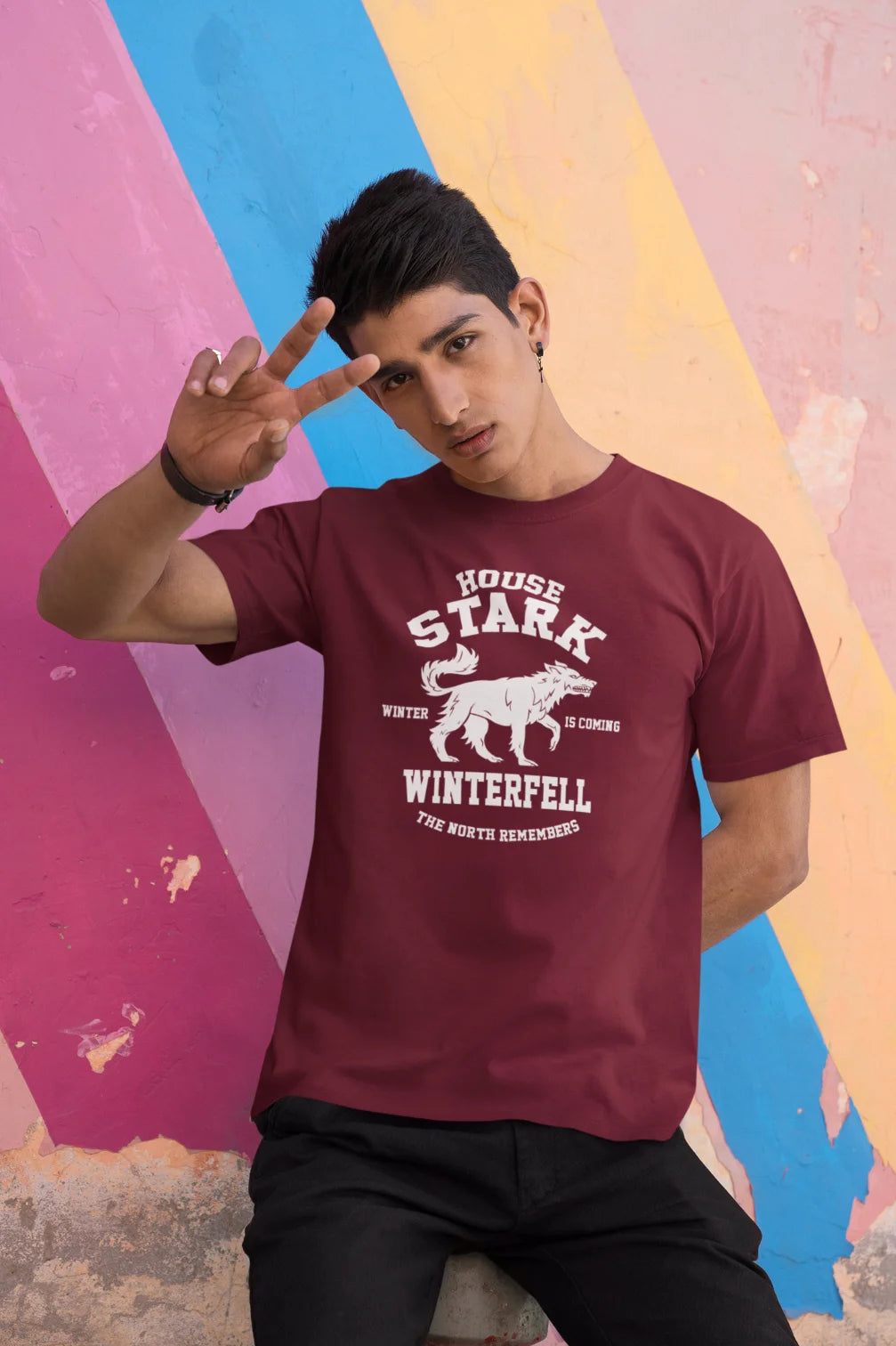 House Stark - Winter is coming T-Shirt