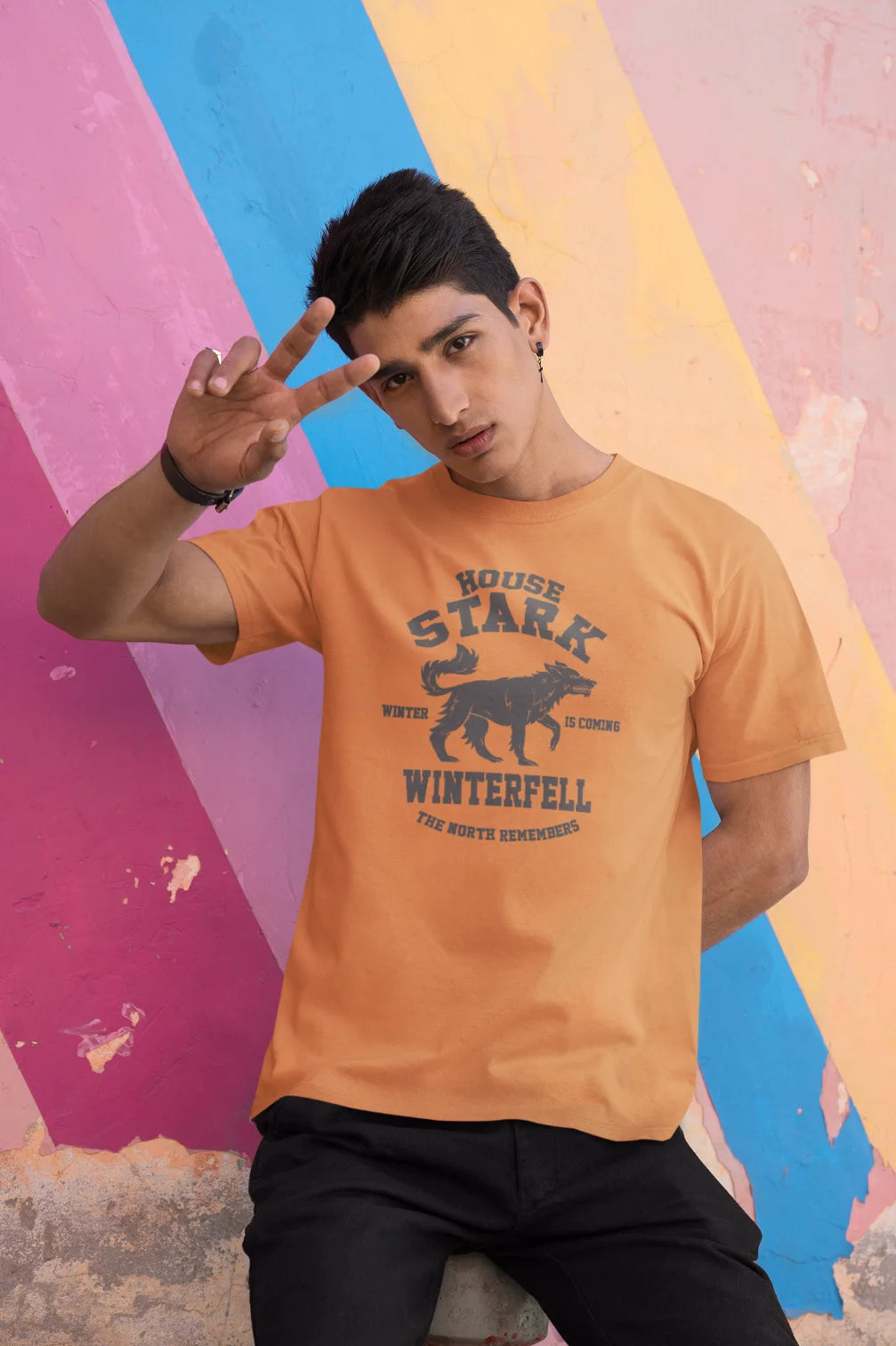 House Stark - Winter is coming T-Shirt