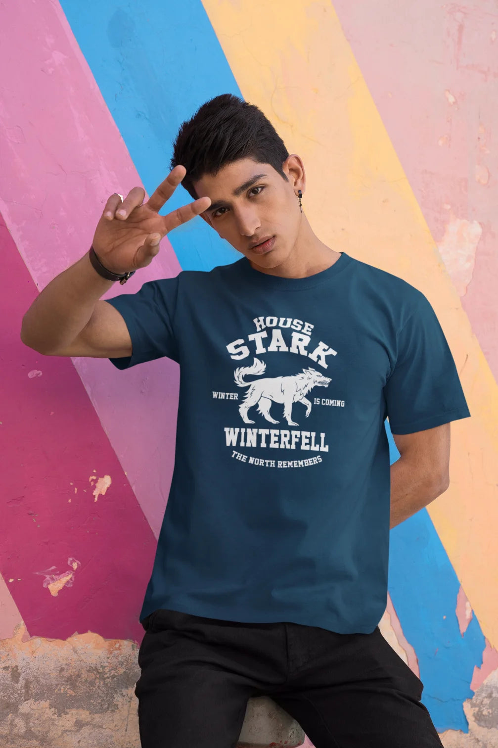 House Stark - Winter is coming T-Shirt