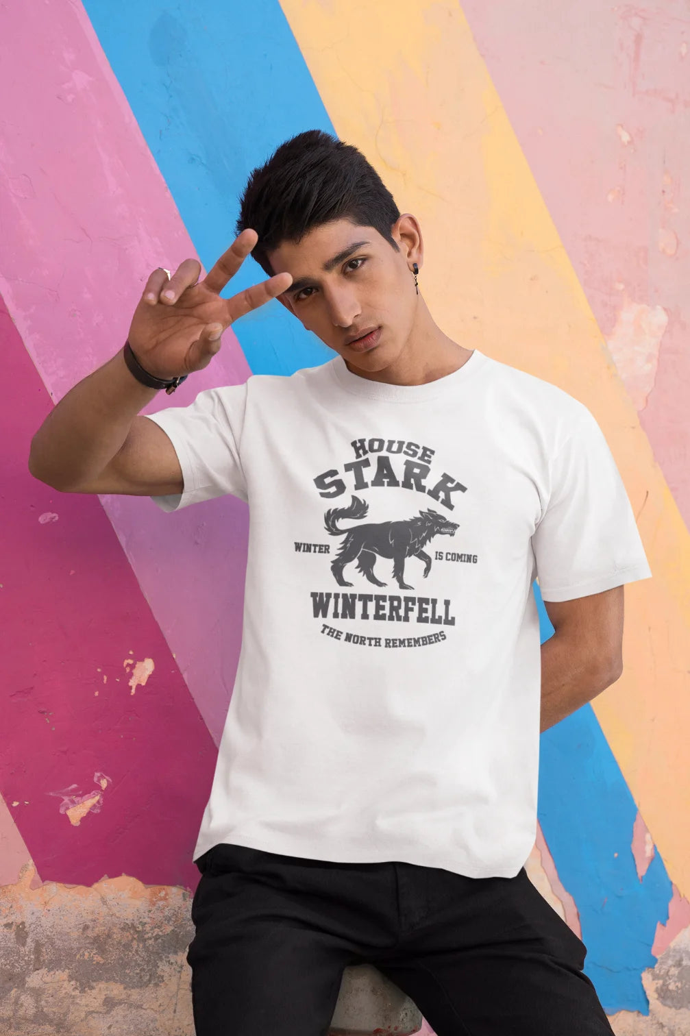 House Stark - Winter is coming T-Shirt