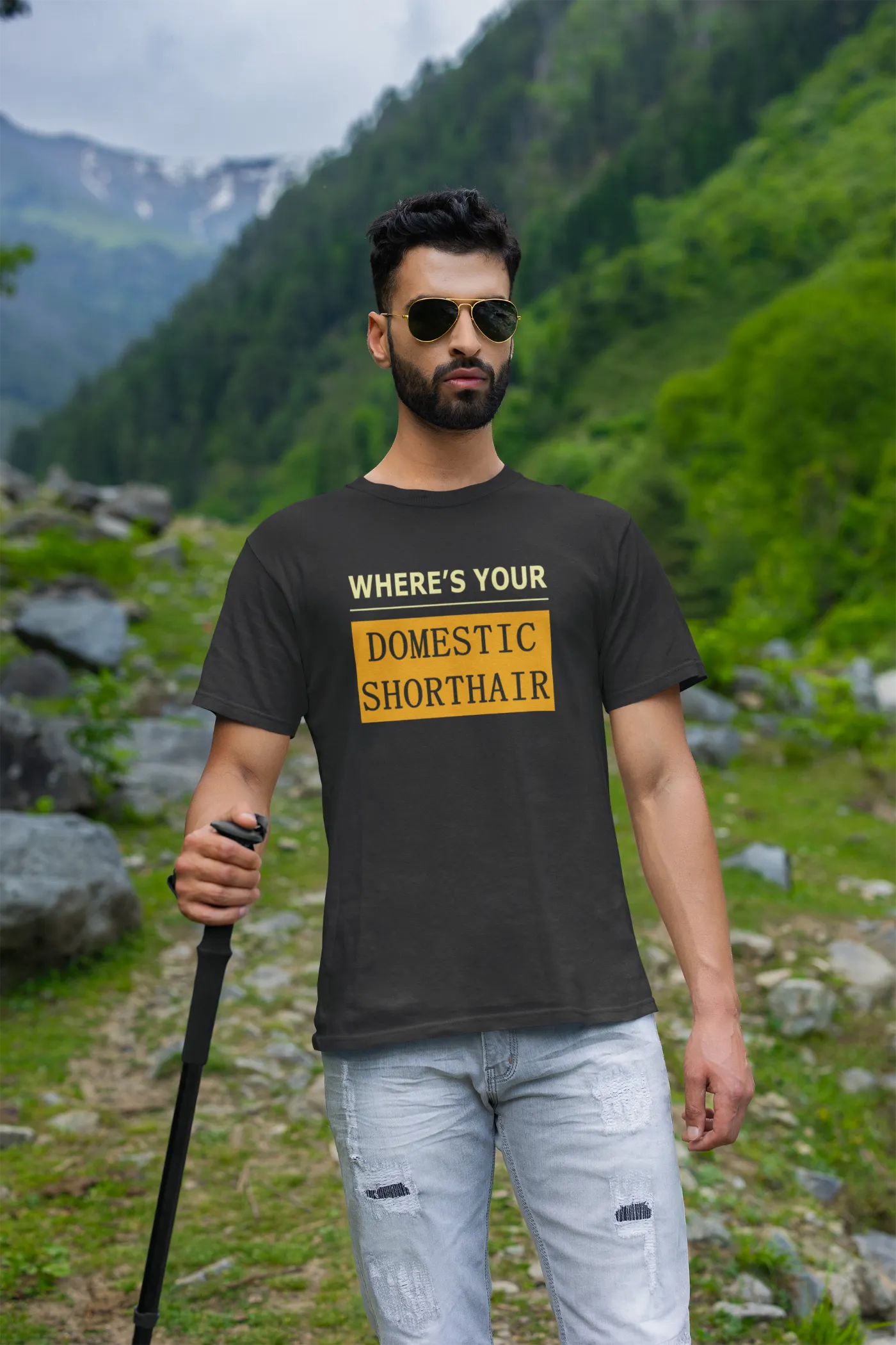 WYD - Waar is je huiskat met kort haar?