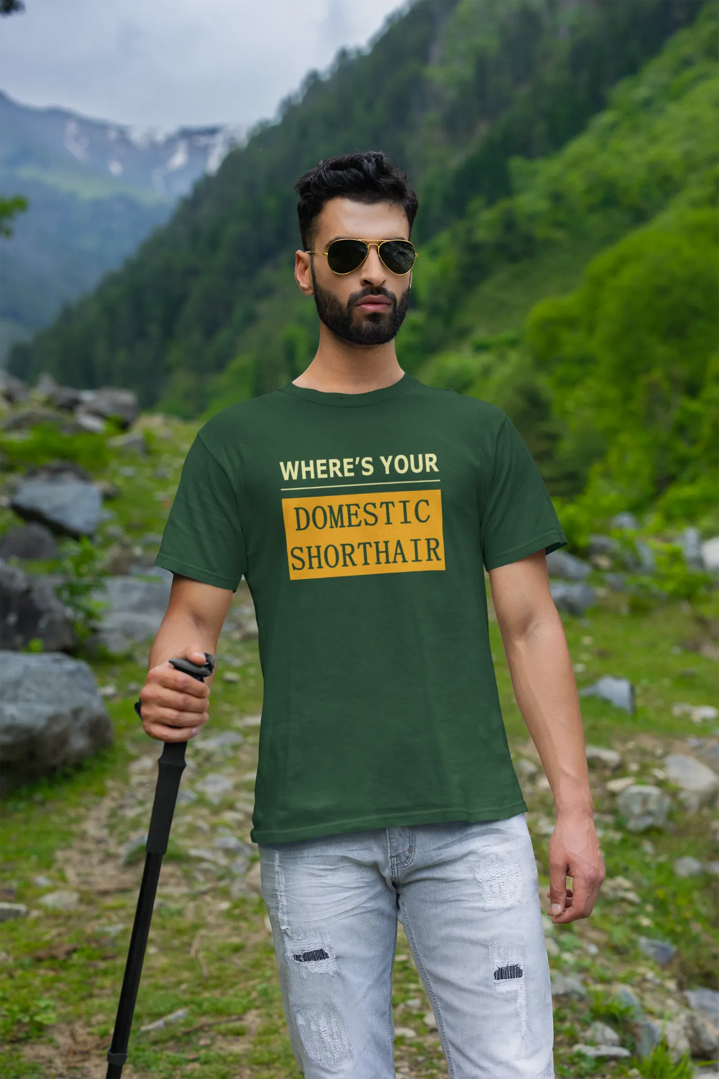 WYD - Waar is je huiskat met kort haar?