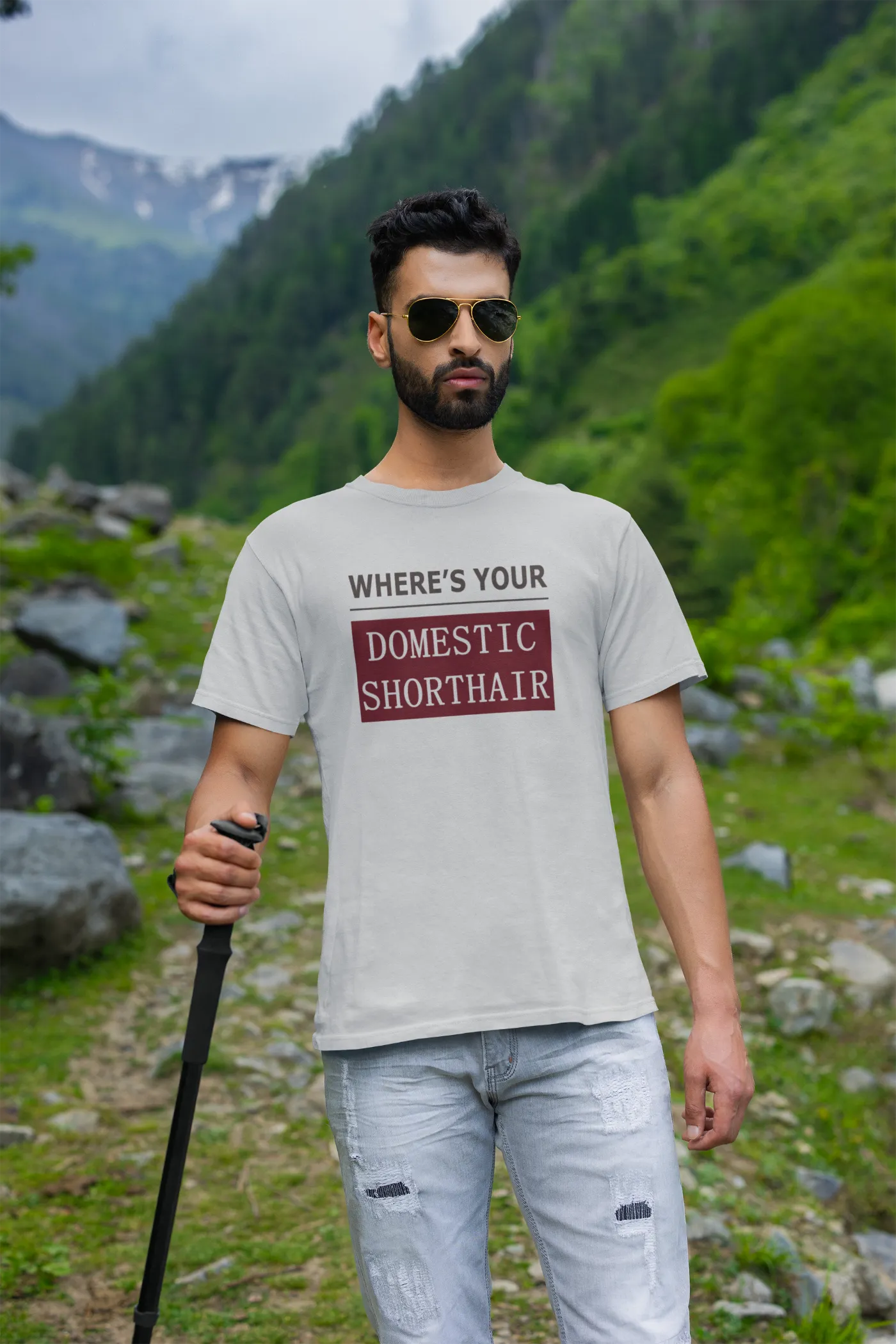 WYD - Waar is je huiskat met kort haar?