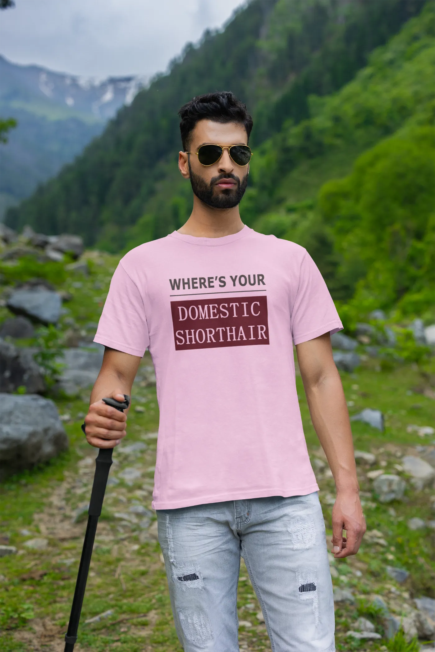 WYD - Waar is je huiskat met kort haar?