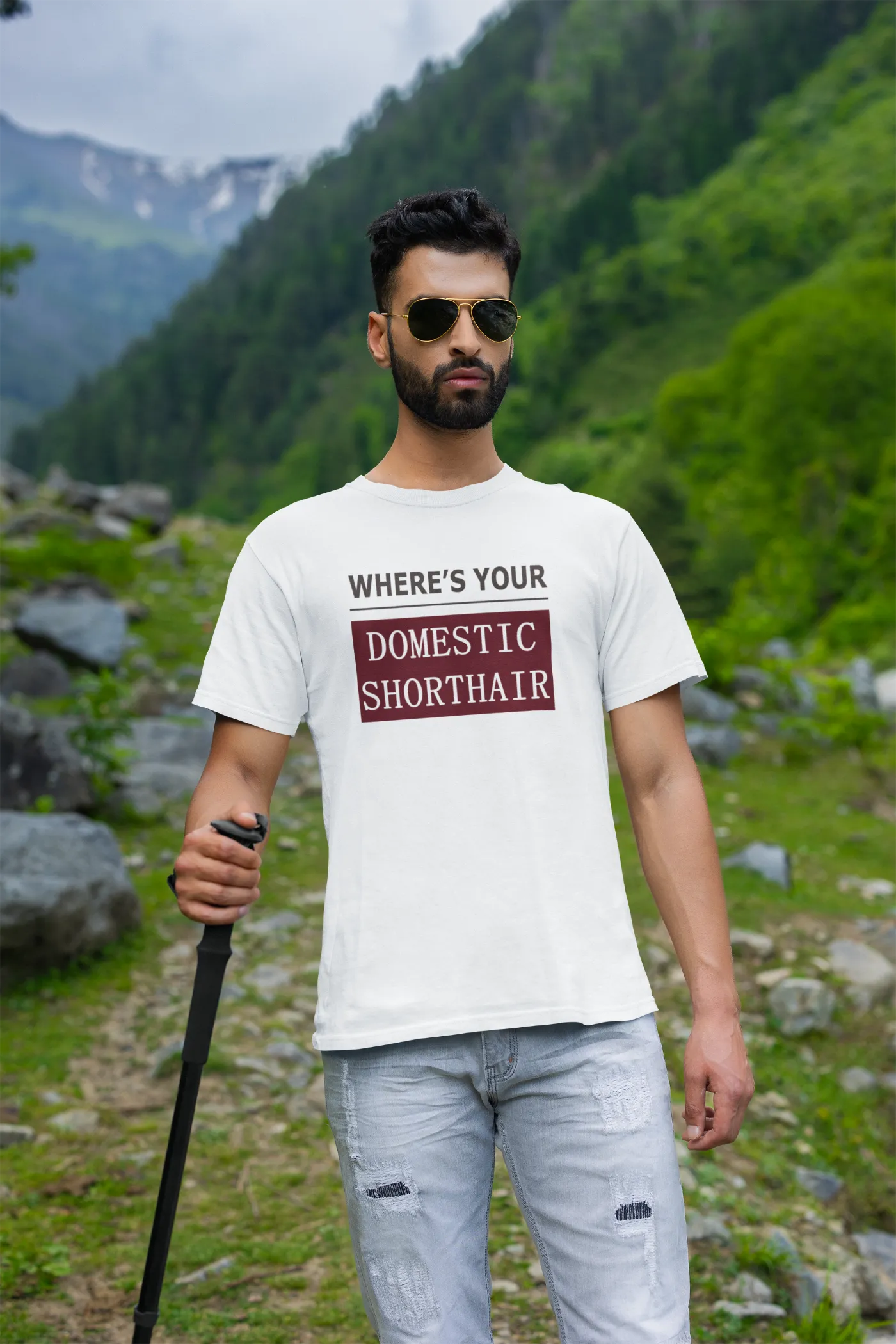 WYD - Waar is je huiskat met kort haar?